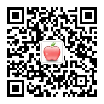 小说半岛下载